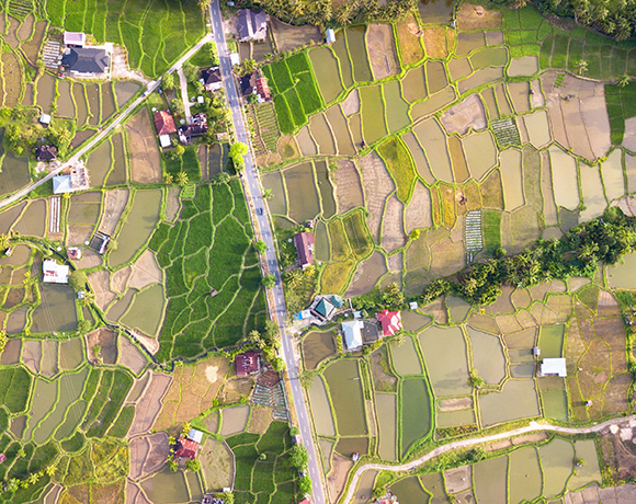 sustainable-procurement-iStock-904571546-home